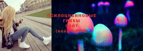 амф Абинск