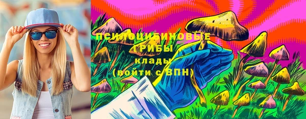 соль ск Абаза