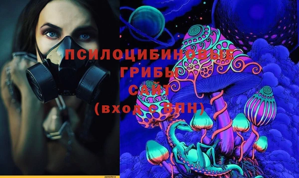 амф Абинск