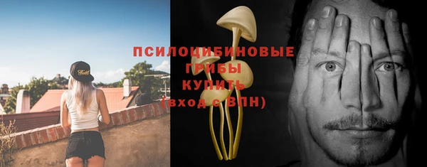 соль ск Абаза