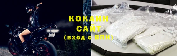 соль ск Абаза