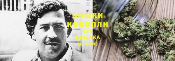соль ск Абаза