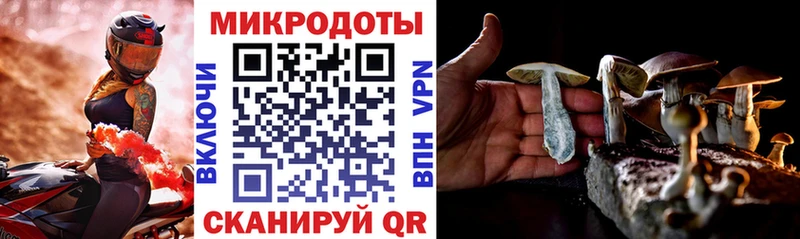 Галлюциногенные грибы Psilocybine cubensis  Спас-Клепики 
